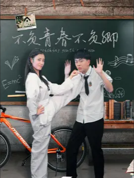 不负青春不负卿海报